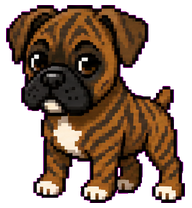 Brindle Boxer preview