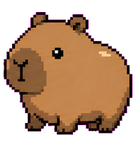 Capy preview