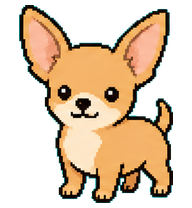 Chihuahua preview