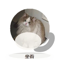 陈零零 preview
