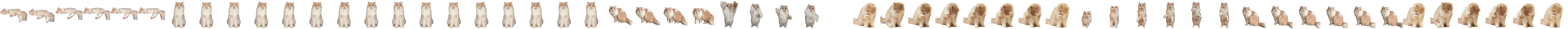Cream Cat Video preview