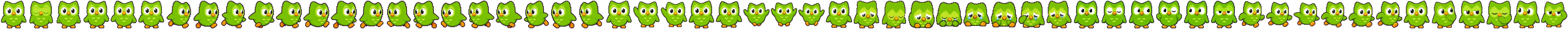 Duo preview