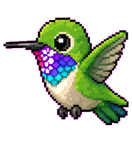 Pico preview