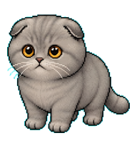 Scottish Fold Cat preview