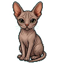 Sphynx Cat Efir preview