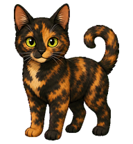 Tortie preview